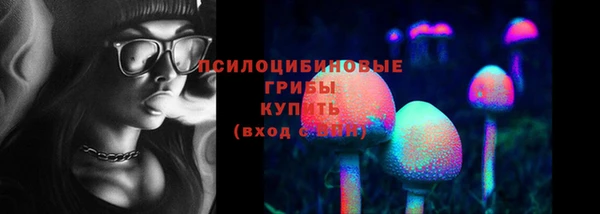 дмт Горно-Алтайск