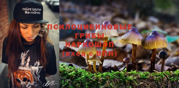 кокаин перу Горняк