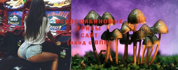 кокаин перу Горняк
